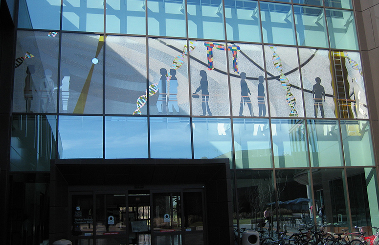 Photograph of the installation of "Consilience" in the Student Services and Classroom Building.